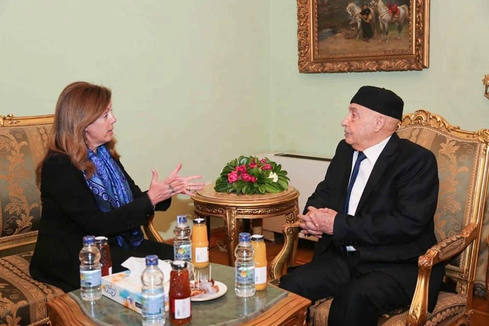 Egypt urges Libyan officials to ‘seize the opportunity’ at Cairo meetings