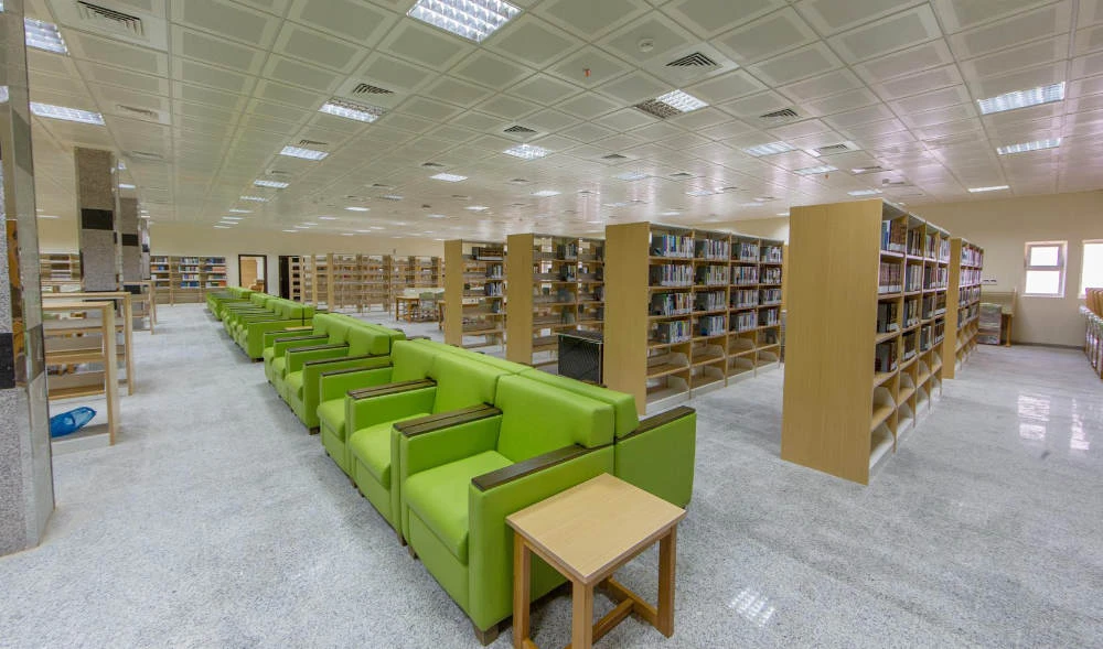 Saudi academic research ranking 17th globally