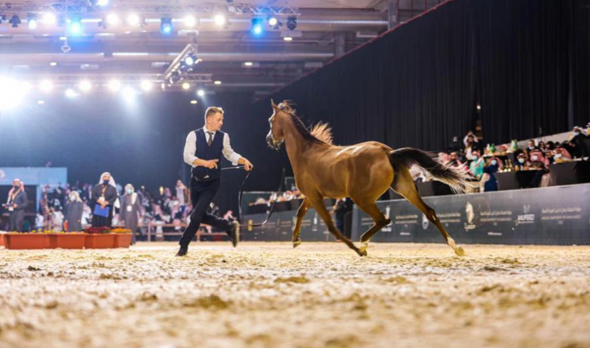 The competition will be staged at the Riyadh Front Exhibition and Convention Center. (SPA/File)