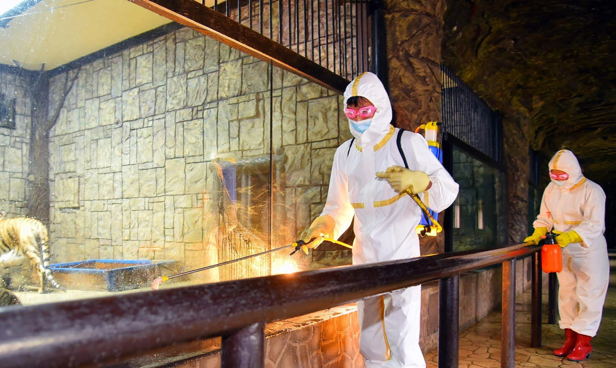 North Korea reports more fevers as Kim Jong Un claims COVID-19 virus progress