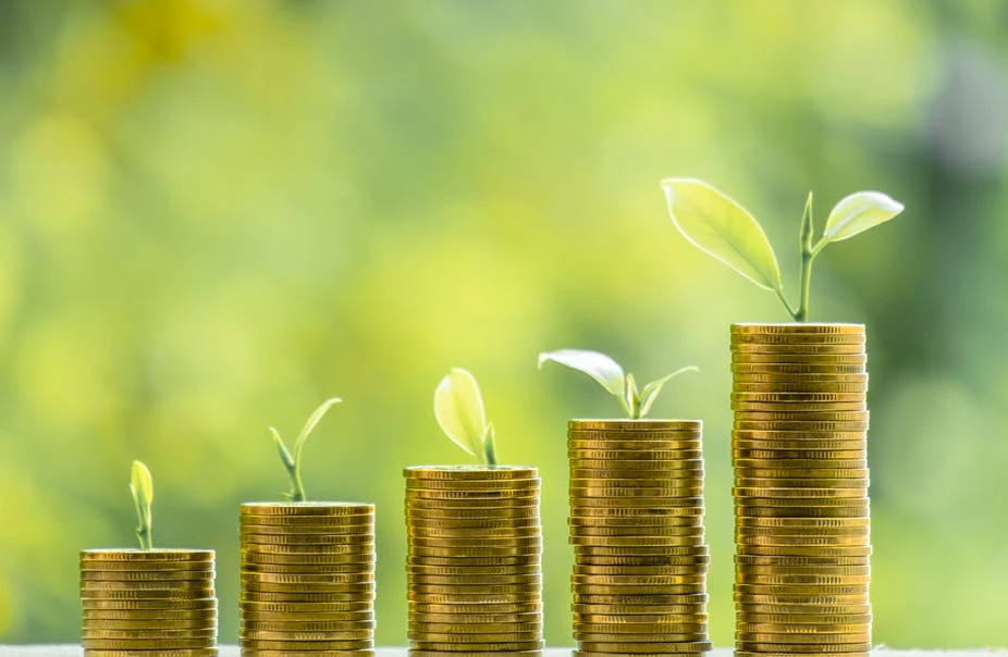 Egypt’s private sector plans to sell $120m to $200m in green bonds, minister says
