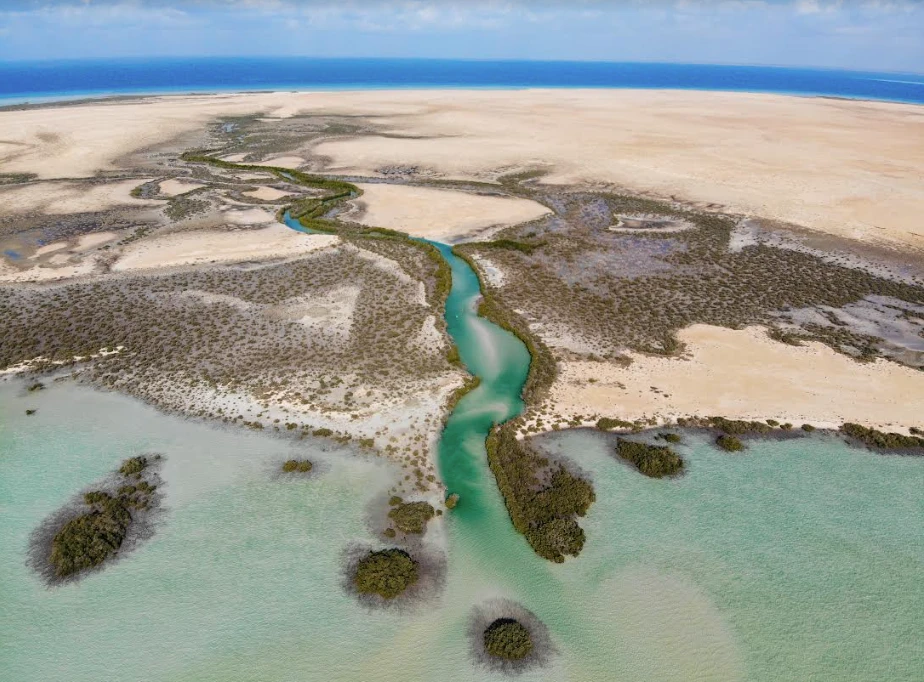 The Red Sea Development Co is working to preserve and protect the rich natural habitats and endangered species on the shores and nearby islands of the Red Sea (Supplied)