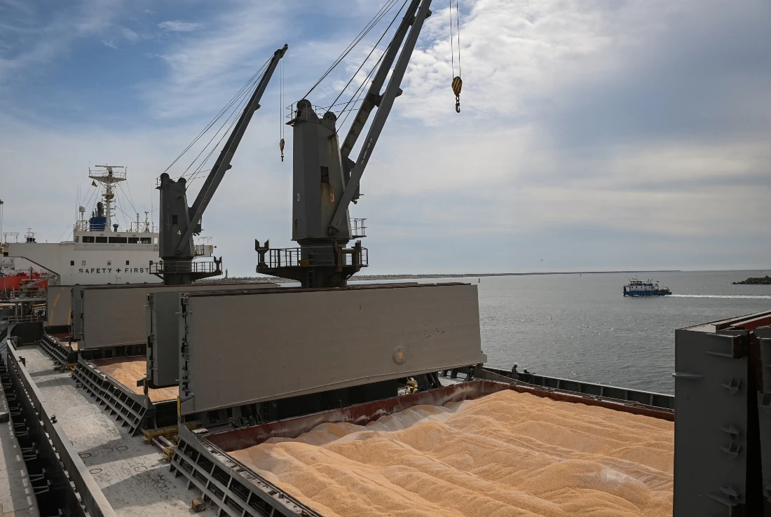 Russia and Ukraine account for nearly a third of global wheat supplies and the lack of significant grain exports from Ukraine ports is contributing to a growing global food crisis. (File/AFP)