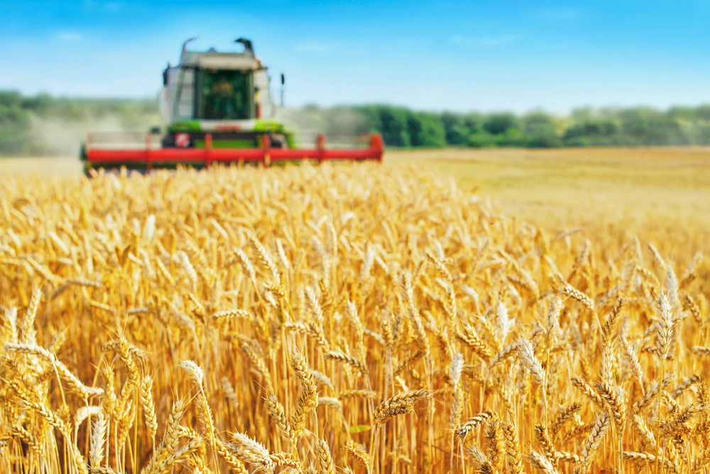 Commodities Update — Gold falls; Silver down; Grains ease
