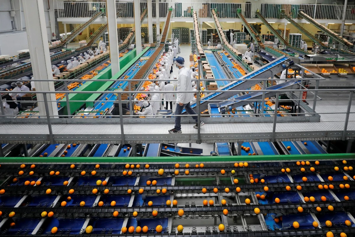 Egypt to unveil projects worth $860m in collaboration with private sector