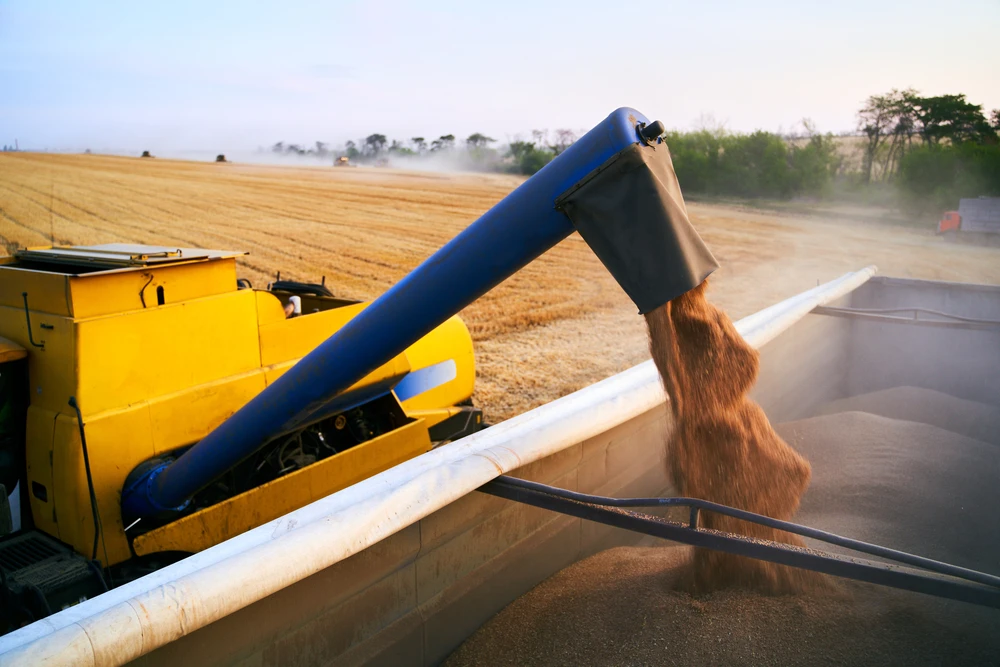 Kremlin says West is to blame for Ukraine grain crisis