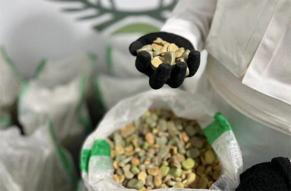 Saudi authorities foil three drug smuggling bids