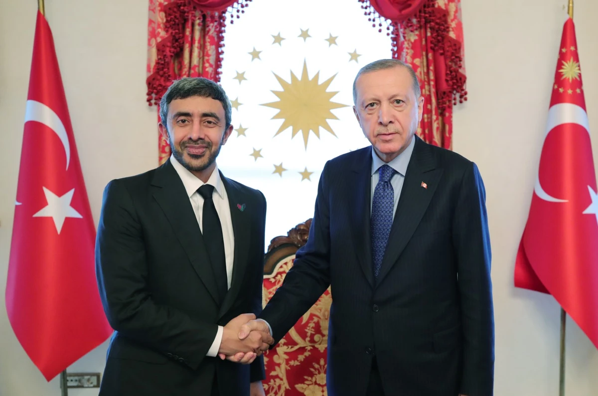 Turkey’s Erdogan discusses advancing cooperation with UAE foreign minister