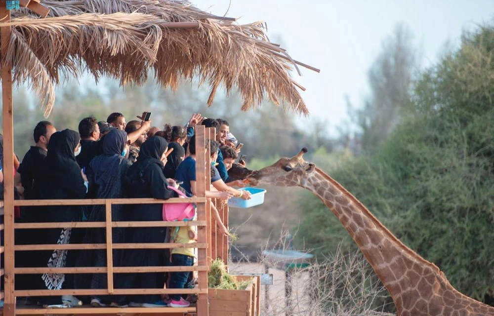 The Jeddah Jungle is home to about 1,000 species of wild creatures, as well as 200 species of rare birds. (SPA)