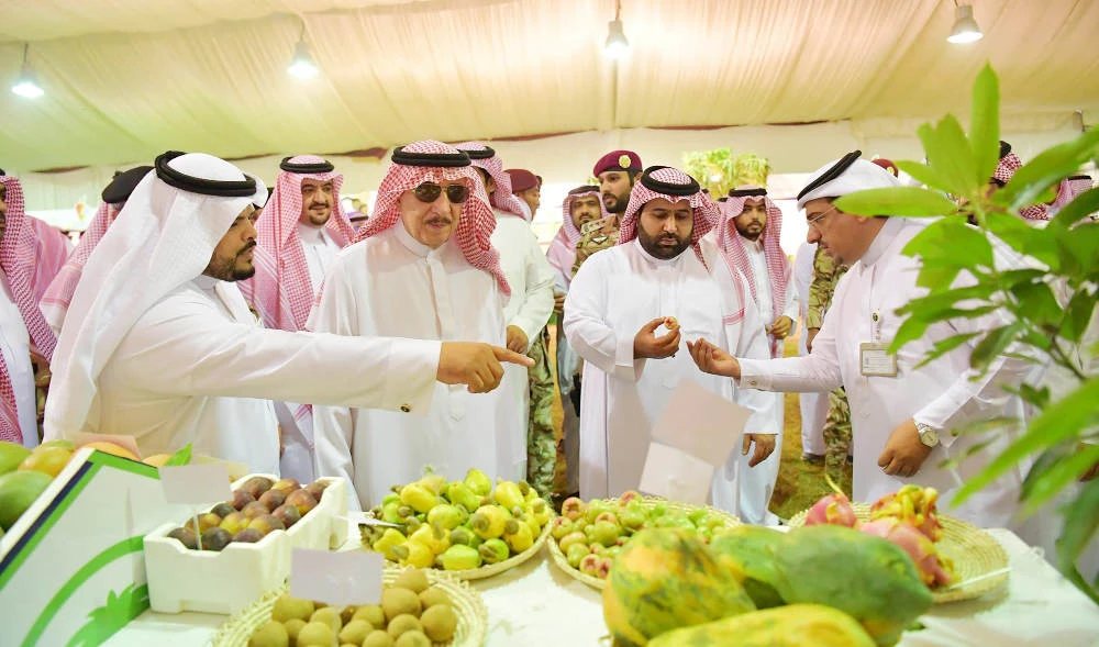 Tropical fruit festival underway in Saudi Arabia’s Sabya