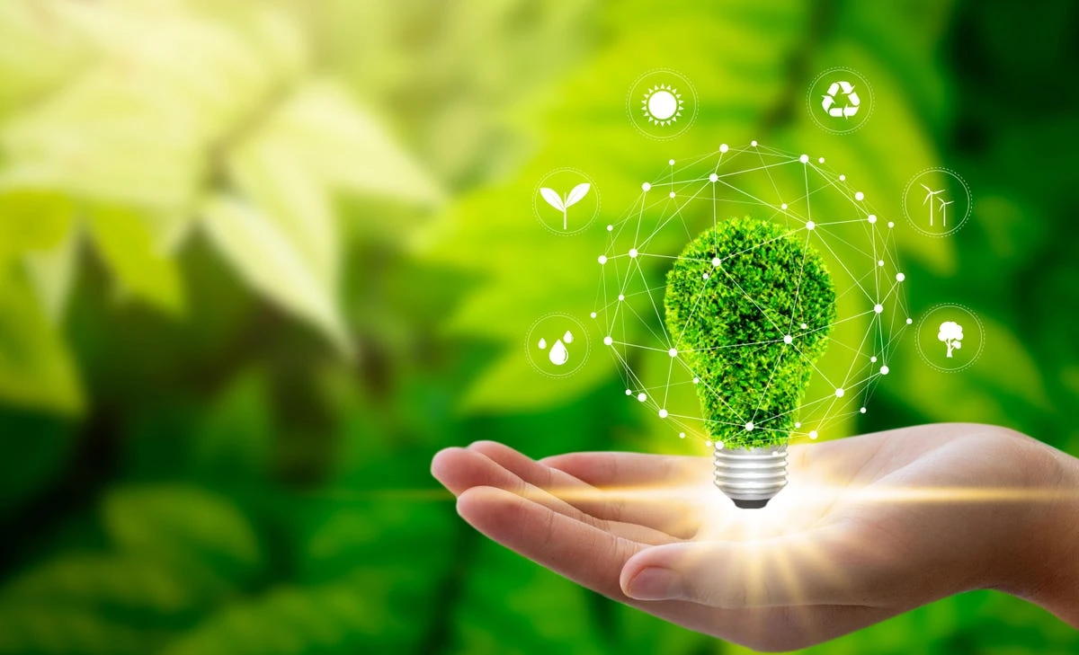 Sustainability among top priorities of Saudi CEOs, IBM study shows