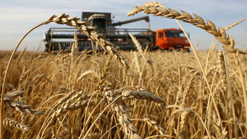 Russia’s war in Ukraine has fueled a global food crisis with prices for grains, cooking oils, fuel and fertilizer soaring.