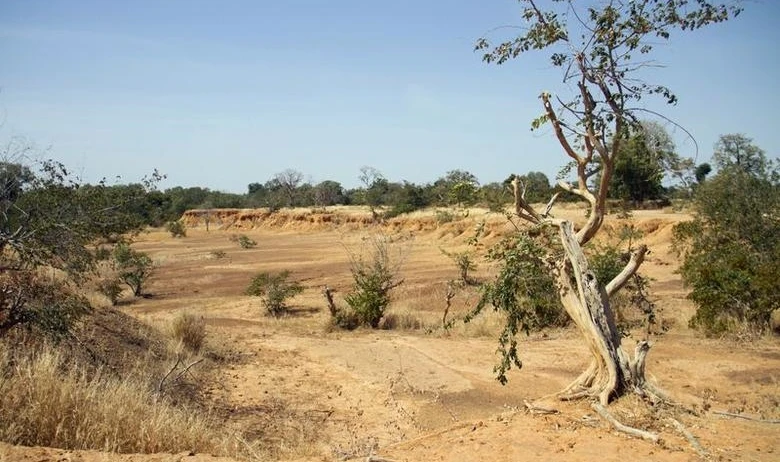 Parched land around Lake Wegnia, in the Sahel region of Koulikoro, Mali, Nov. 22, 2019. (Reuters)