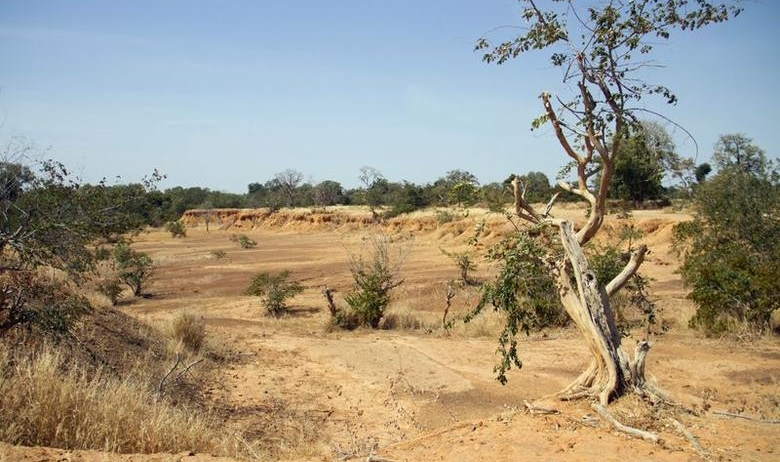 Parched land around Lake Wegnia, in the Sahel region of Koulikoro, Mali, Nov. 22, 2019. (Reuters)