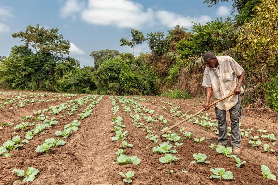 European financing fund for Africa launched with first closing of $24.1m