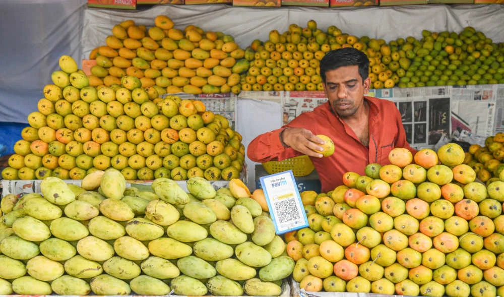 A vendor stacks mangoes at a stall at the Mango Mandi, an exclusive market for mangoes where all varieties of mangoes grown across the country are sold, in Bangalore on May 6, 2022. (AFP)