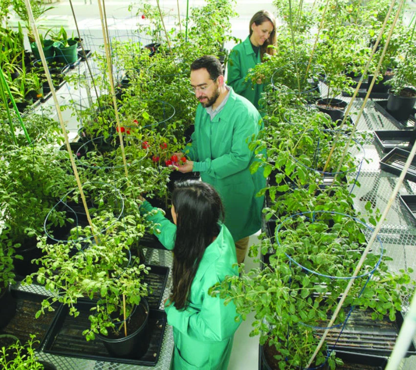 Red Sea Farms hopes to hit 30 hectares of desert farm operations by end of 2022
