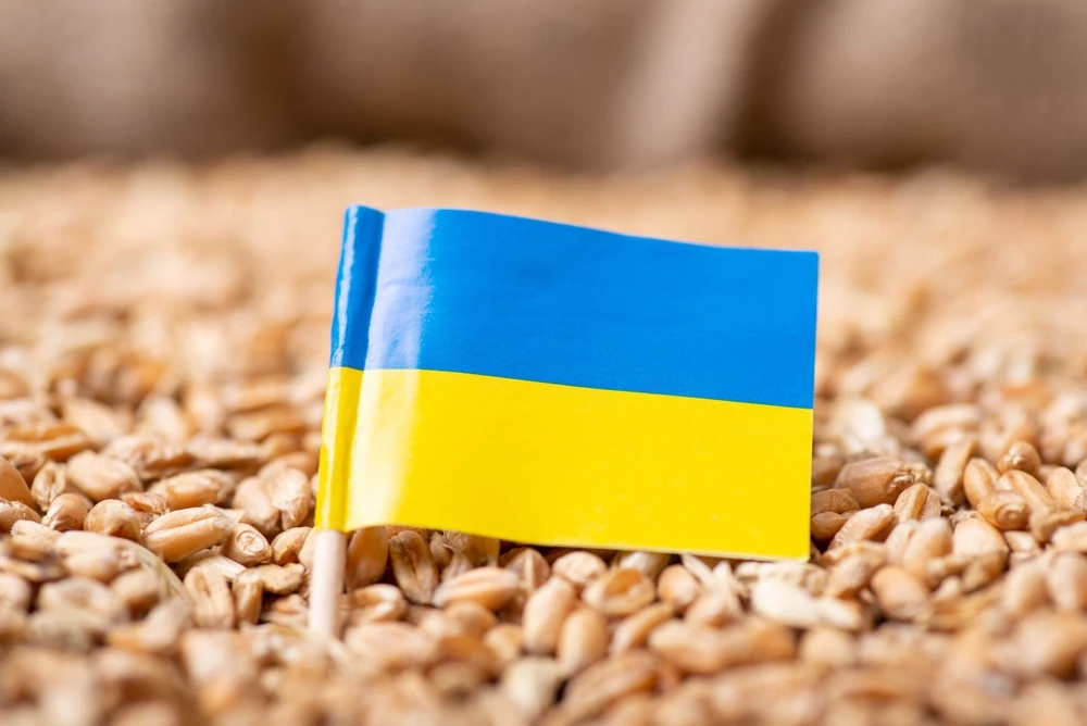 Ukraine minister said Russian shelling destroyed 300,000 tons of grains. (Shutterstock)