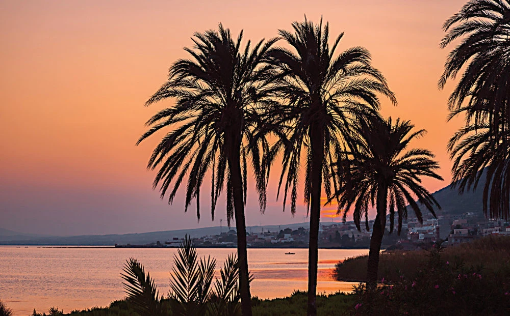 According to the US-based non-profit body Medical Tourism Association, Tunisia ranks 38 out of 46 global destinations on the 2020-2021 Medical Tourism Index. Its sunshine and beaches also make it a premier tourist destination. (Shutterstock)