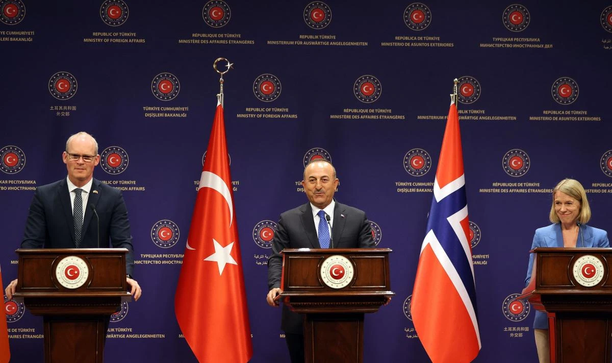 Ireland, Norway, Turkey want UN to extend aid to Syria