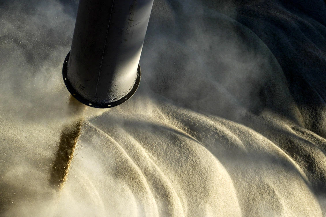 Barley is loaded onto a cargo ship in the international port of Rostov-on-Don. (File/AFP)