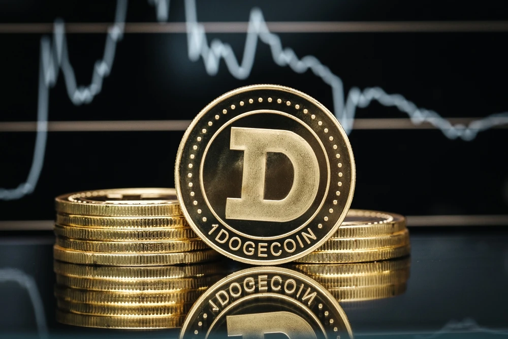 Dogecoin jumps 8% after Elon Musk says his firm will continue to accept crypto