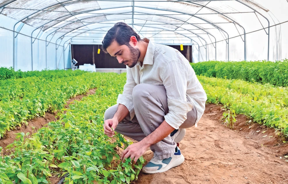 Saudi farmer, 24, engineers a blooming desert