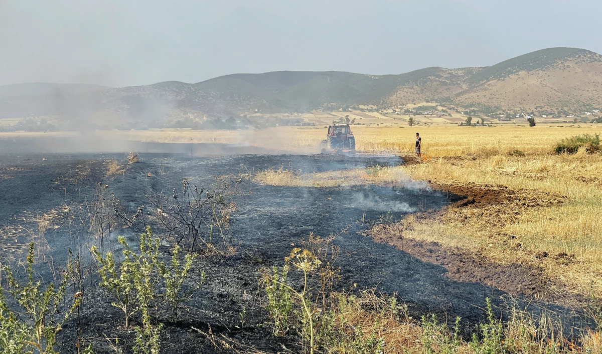 Heatwave and fires damaging Tunisia’s grain harvest