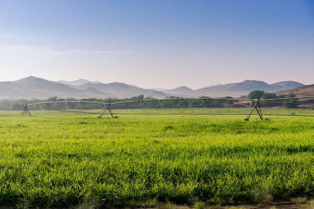 Saudi food security boosted with $373m loans from Agricultural Development Fund