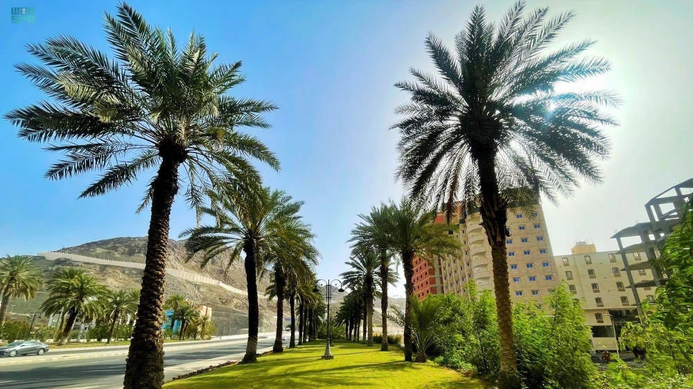 Saudi Green initiatives have raised the bar for climate-change action