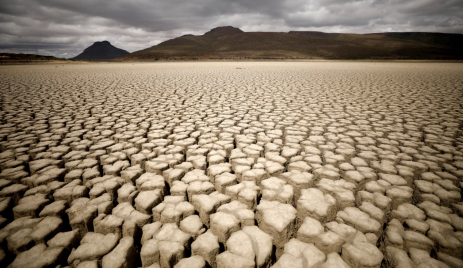 Need to build a more resilient Arab world