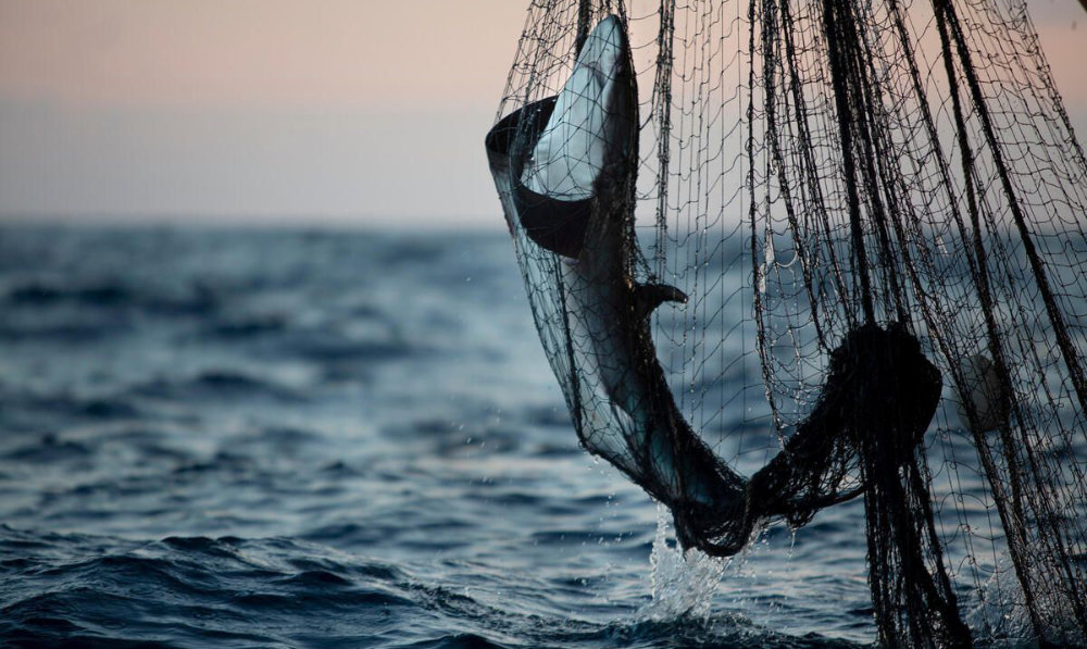 Water security starts with taking care of our oceans