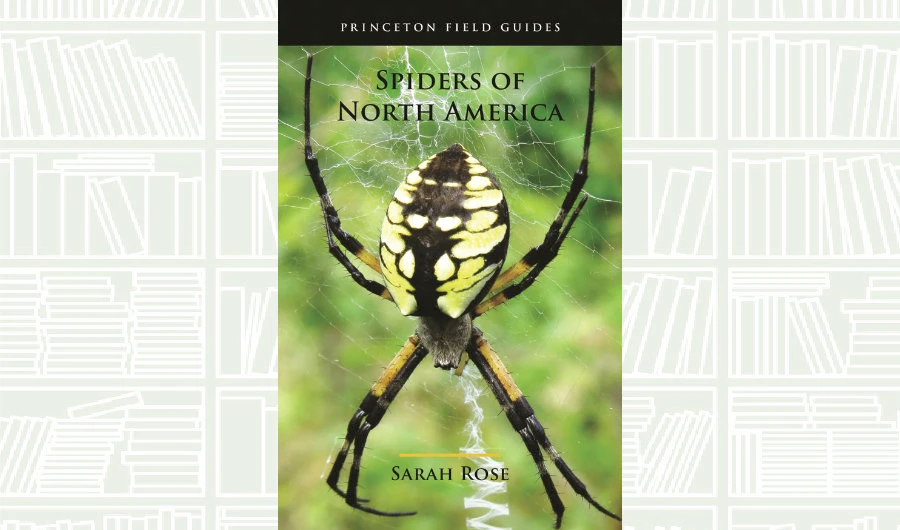 What We Are Reading Today: Spiders of North America by Sarah Rose