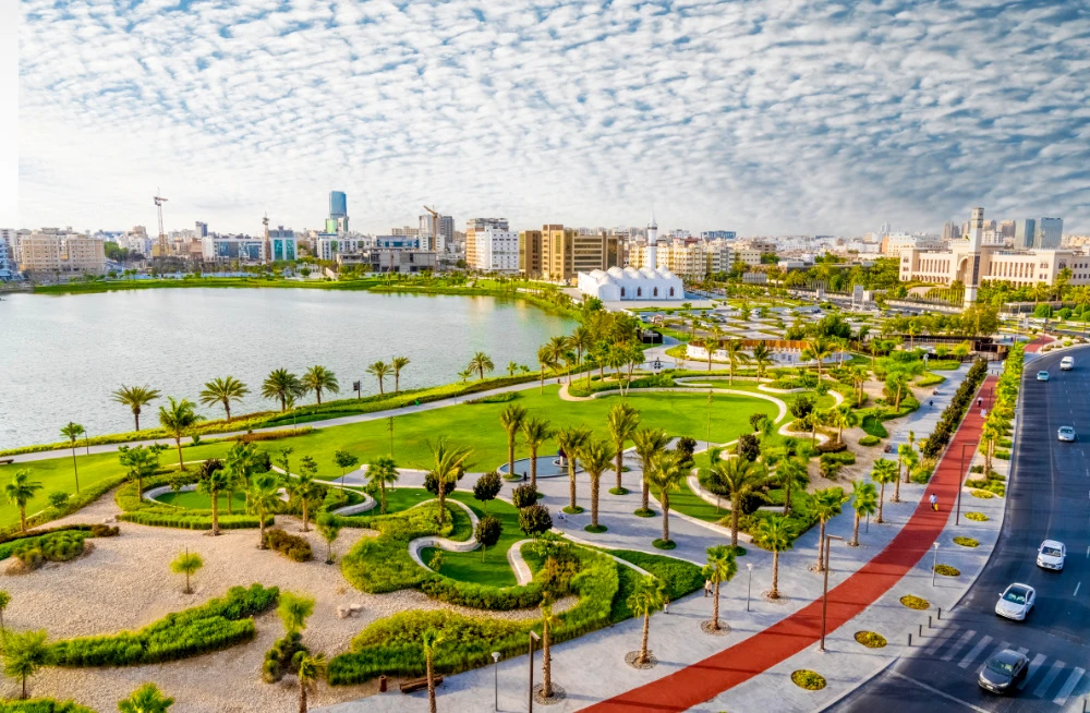 The project is part of Saudi Arabia’s Vision 2030 goals of cultivating environmental projects. (Supplied)