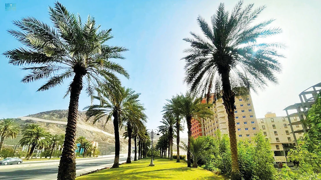 SGBF to find solutions to drive UN development goals in the region