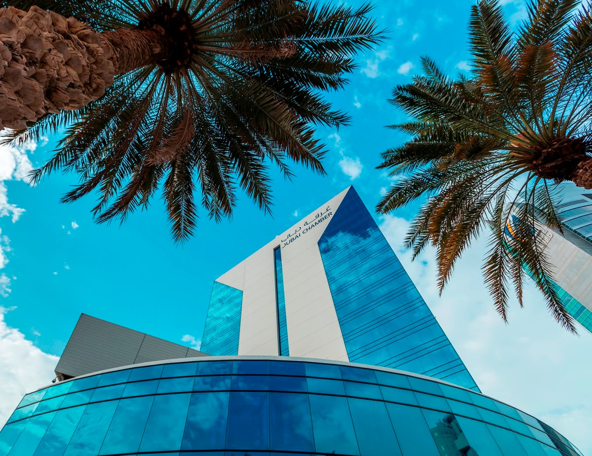 Dubai’s ‘Give & Gain 2022’ initiative draws large turnout of volunteers