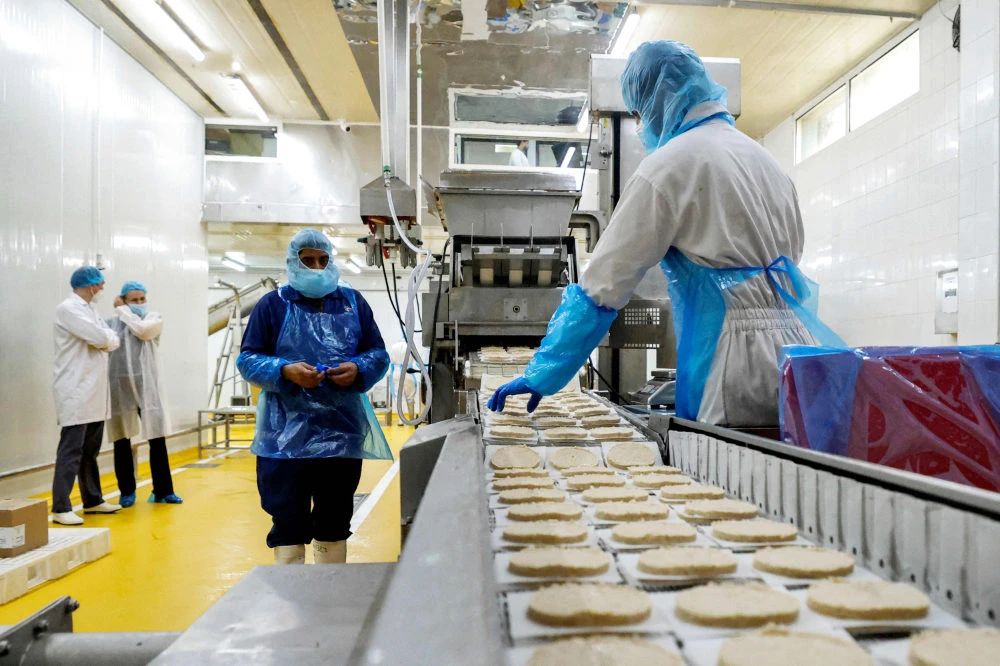 Salicornia plant-based burger patties are produced on a production line at a food processing plant in the Gulf emirate of Sharjah on June 8, 2022. (AFP)