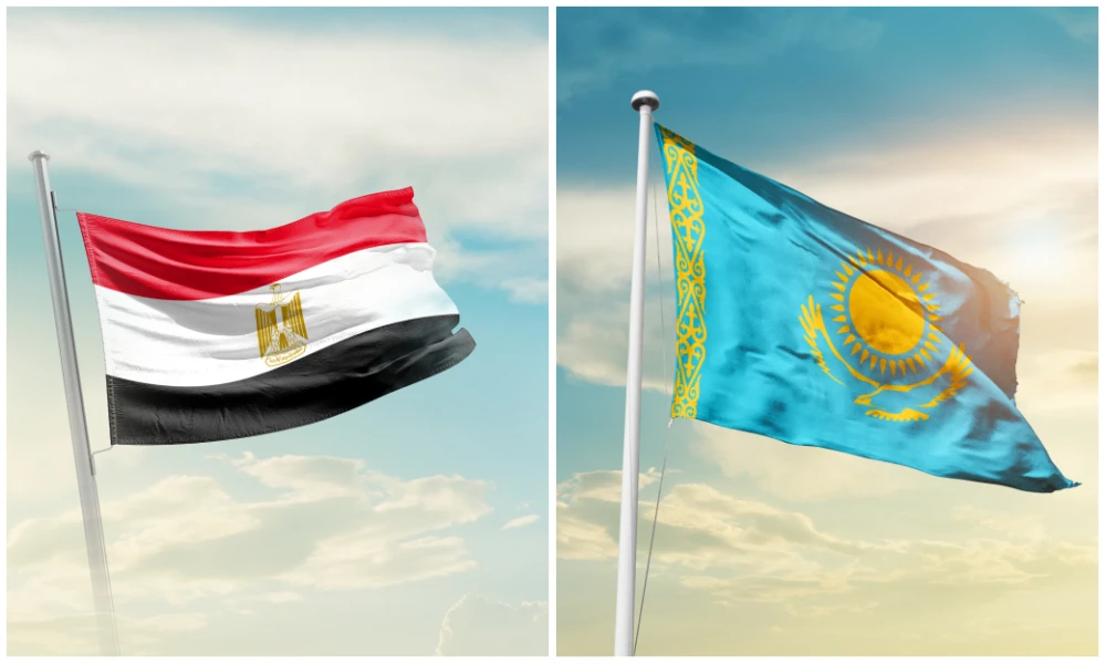 The Kazakh Minister of Labor and Community Protection Tamara Duisenova has received the Egyptian Ambassador to Kazakhstan Manal Yahya El-Shennawy. (File/Shutterstock)