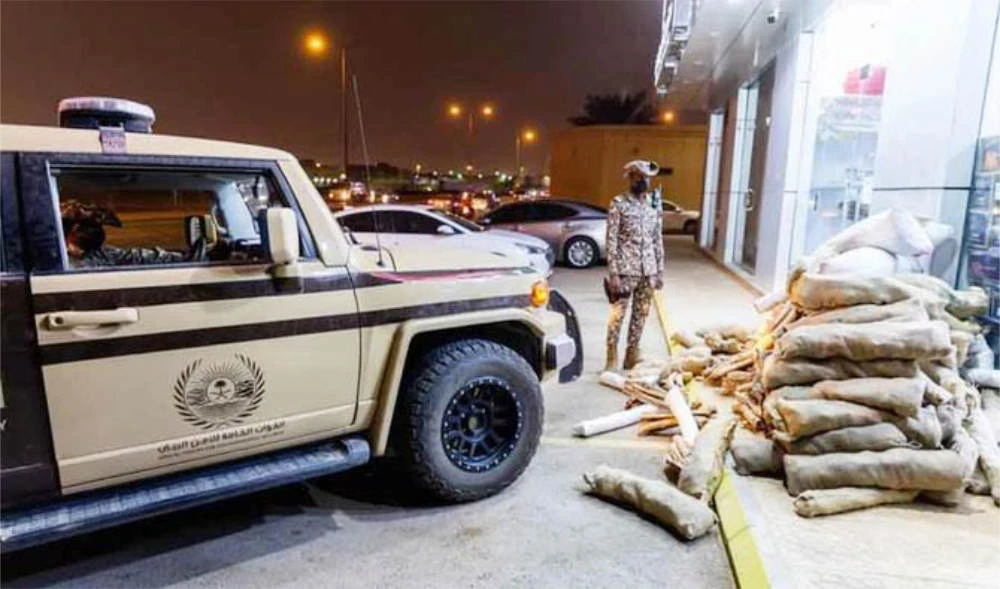 Two firewood violators arrested in Tabuk