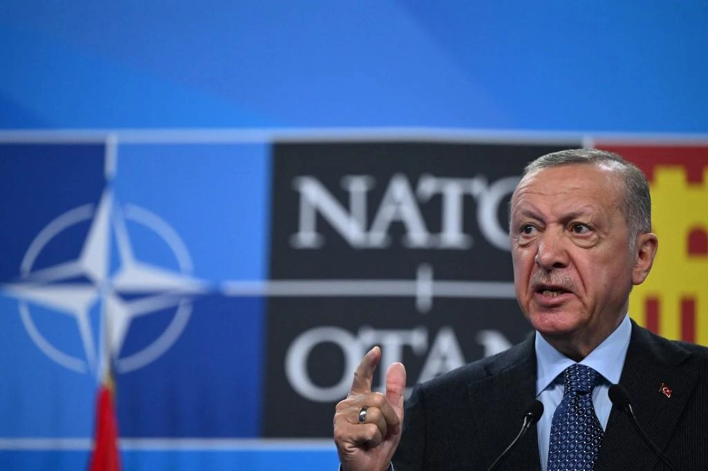 Turkey's President Recep Tayyip Erdogan addresses media representatives during a press conference at a NATO summit. (File/AFP)