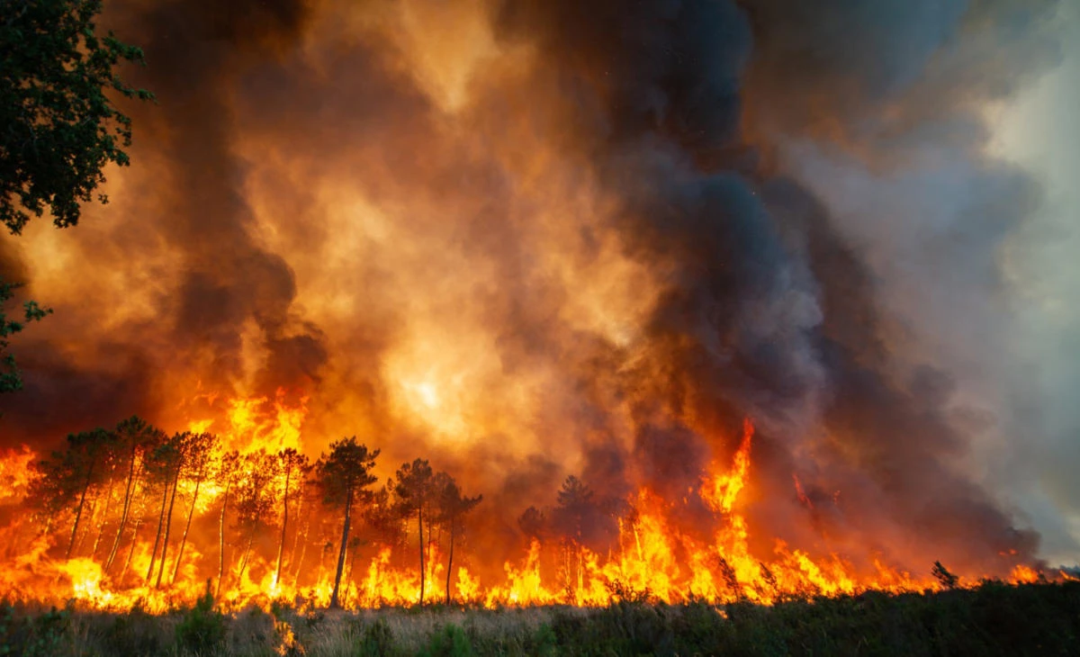 Strong winds and hot, dry weather are frustrating French firefighters’ efforts to contain a huge wildfire that raced across pine forests in the Bordeaux region Saturday for a fifth straight day. (AP)