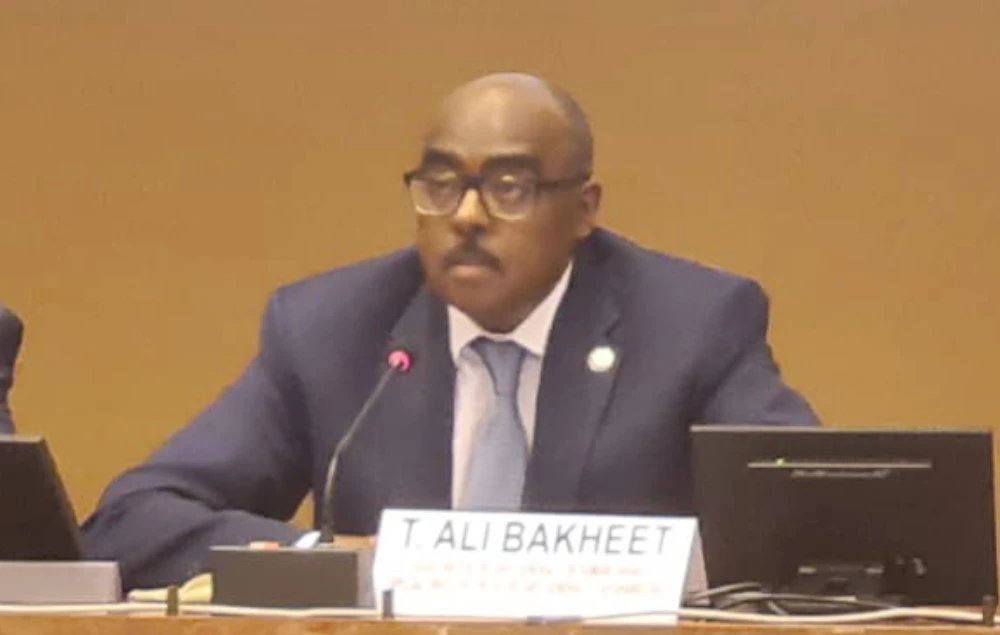 Organisation of Islamic Cooperation and UN review multifaceted partnership