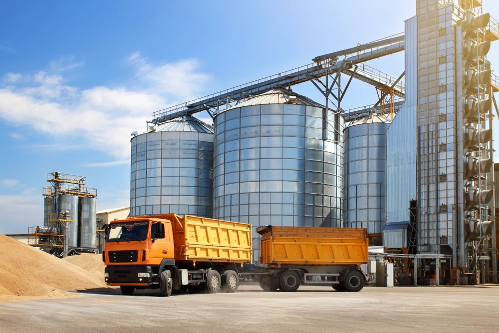 Chicago corn and soybean futures lost more ground on Wednesday. (Shutterstock)
