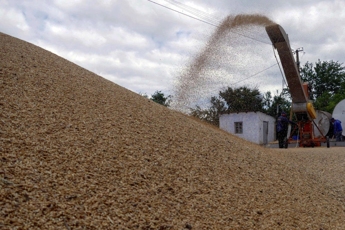 Workers storage grain at a terminal during barley harvesting in Odesa region. (Reuters/File)