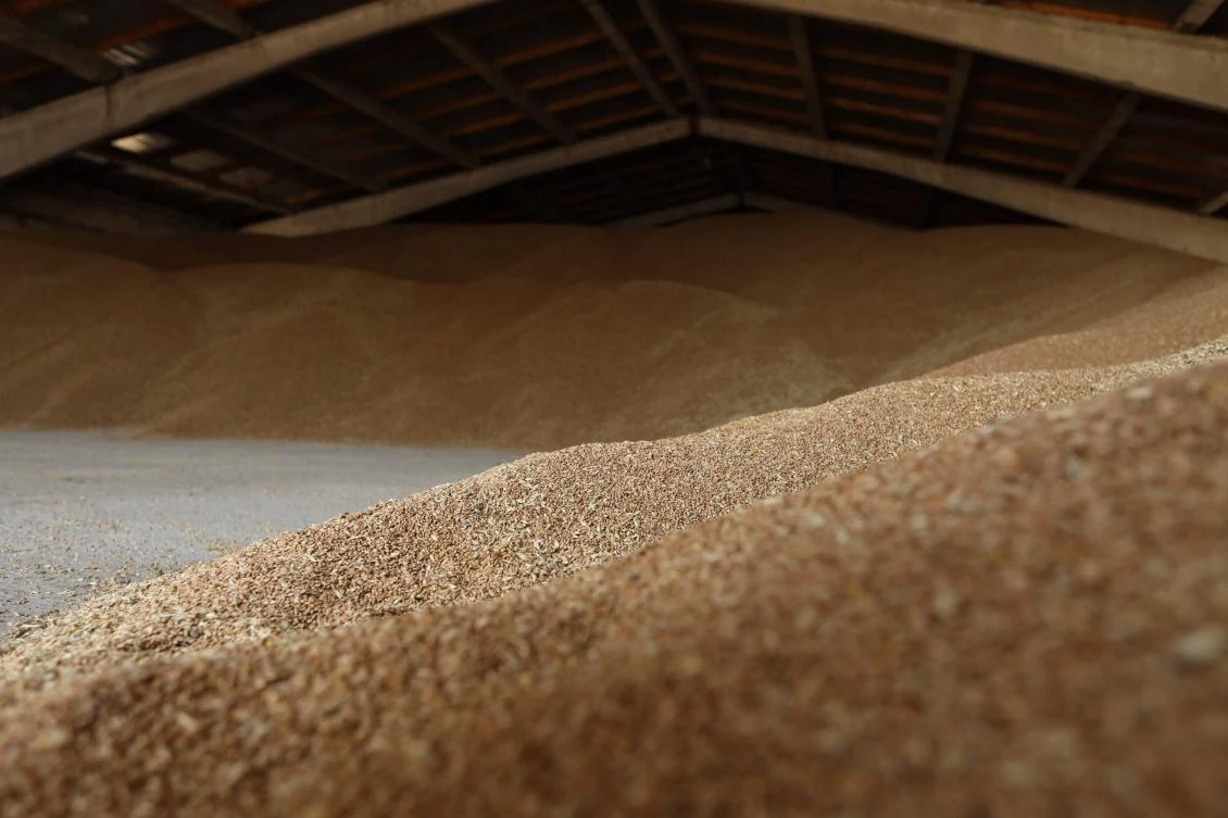 Russia and Ukraine signed a landmark deal with the United Nations and Turkey on resuming grain shipments that could ease a global food crisis. (AFP)