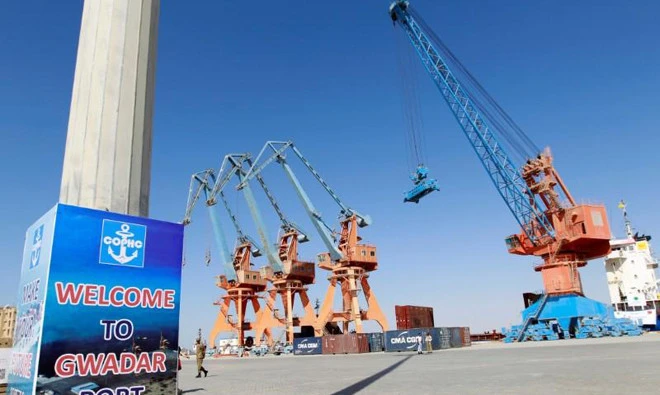Chinese super seeds boost Pakistan's rice exports