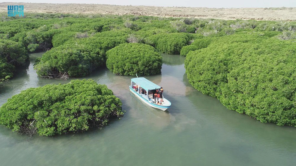The contracts are part of the center’s afforestation efforts in the coastal environment of Saudi Arabia. (SPA)