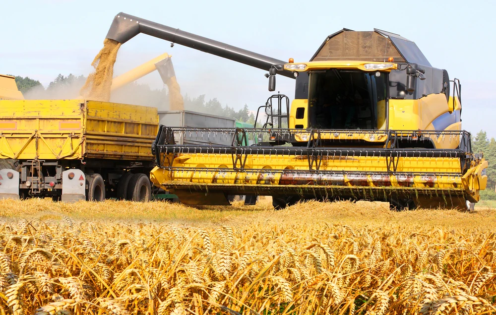 Wheat rose 1.3 percent to $8.00-3/4 a bushel and corn gained 0.9 percent to $6.08-1/2 a bushel. (Shutterstock)