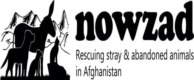 UK government admits mistakes over Afghan animal charity case