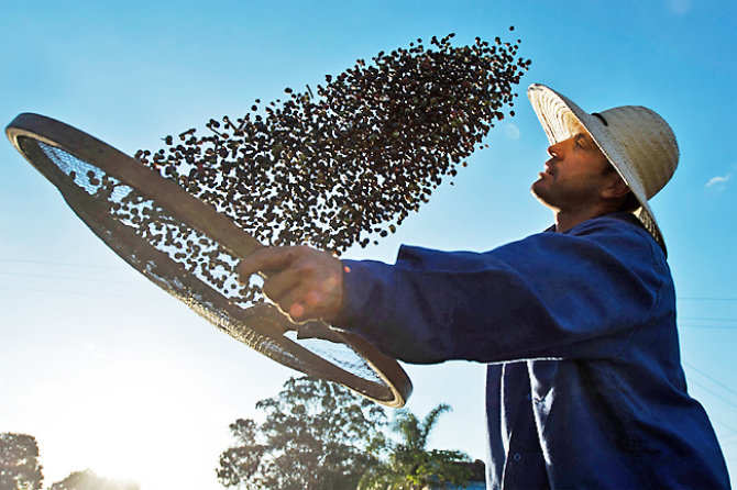 A worker dries organic coffee beans, Brazil. (AFP/File)